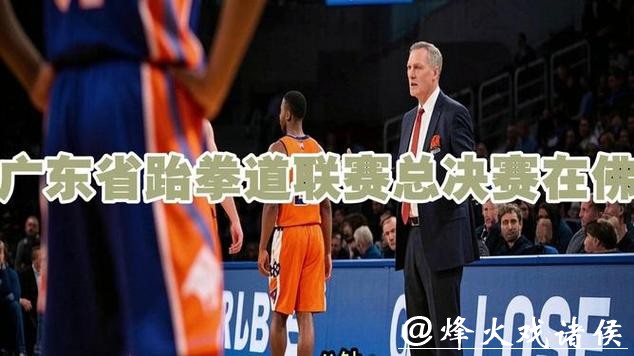 2025年广东省跆拳道联赛总决赛在佛山收官